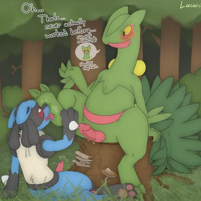 nintendo, pokemon created by lucario-desu