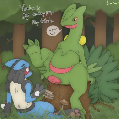 nintendo, pokemon created by lucario-desu