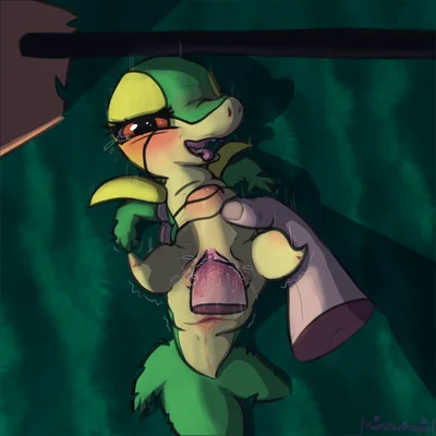 nintendo, pokemon created by poofythedragon