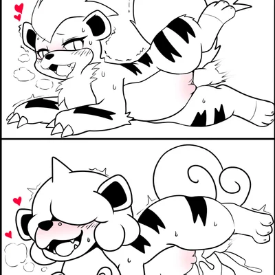 nintendo, pokemon created by yttriumi2f