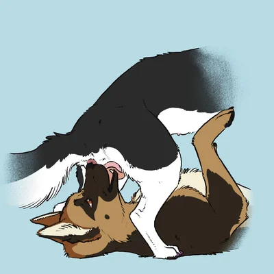 north shepherd created by sketchy shelby