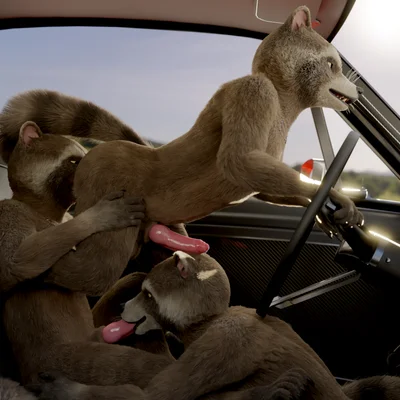 rocket raccoon (guardians of the galaxy, marvel) created by no-name-no-problem