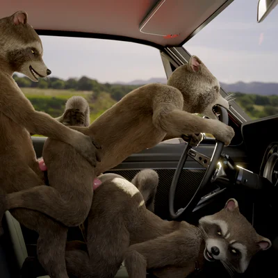 rocket raccoon (guardians of the galaxy, marvel) created by no-name-no-problem