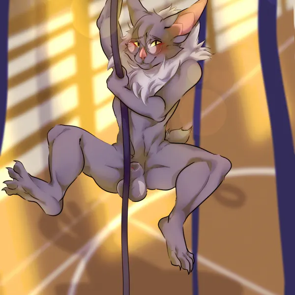 sean (seanthebat) created by catniped