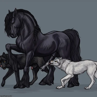 steppenfire (character) created by heatherwolf