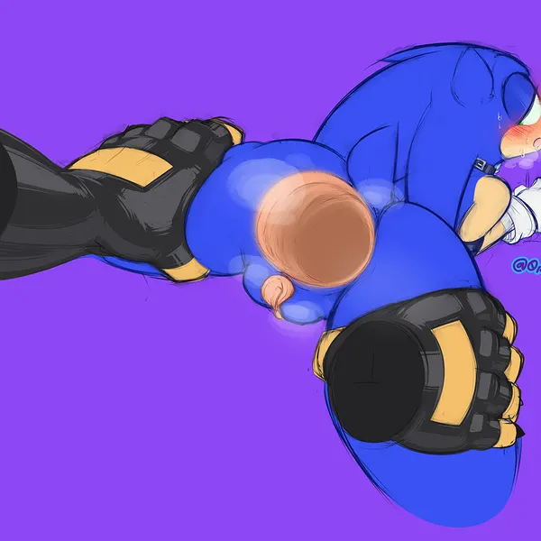 0r0, sonic the hedgehog (sega, sonic the hedgehog (series)) created by 0r0ch1