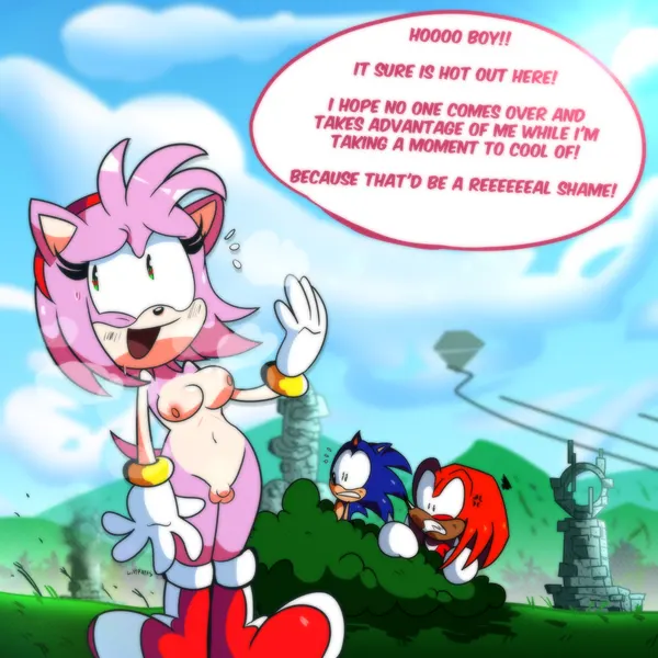 amy rose, knuckles the echidna, sonic the hedgehog (sega, sonic the hedgehog (series)) created by lilydrawsporn