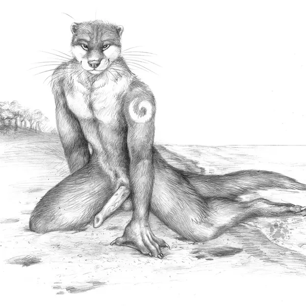 bayshore (scratches volume 5) created by blotch