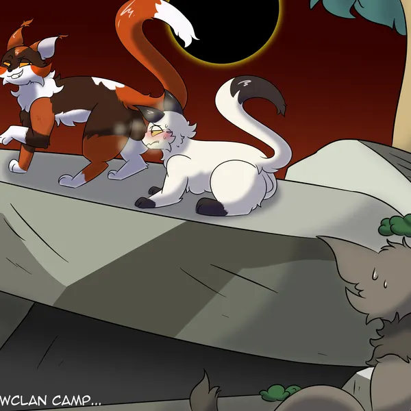 blackstar (warriors), sol (warriors) (warriors (book series)) created by rancidwyrm