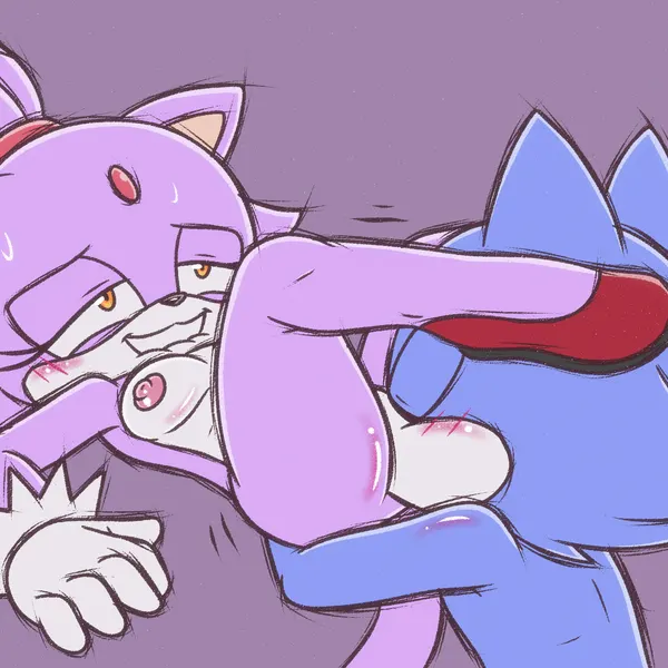 blaze the cat (sega, sonic the hedgehog (series)) created by ladycherrybomba