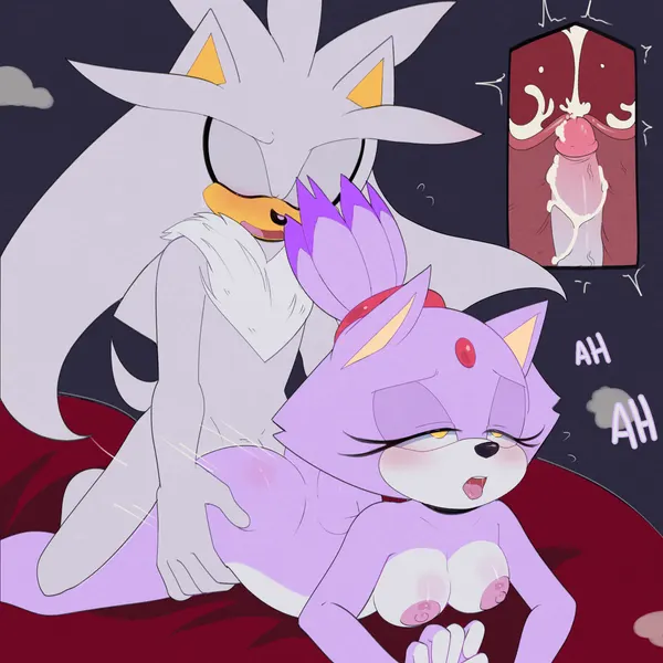 blaze the cat, silver the hedgehog (sega, sonic the hedgehog (series)) created by apinkgrape