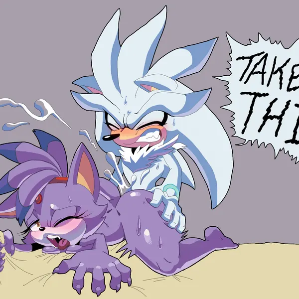 blaze the cat, silver the hedgehog (sega, sonic the hedgehog (series)) created by arborialrodent