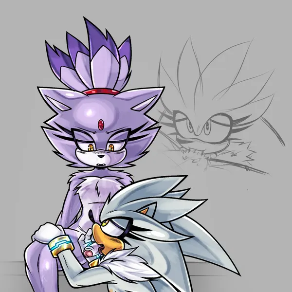 blaze the cat, silver the hedgehog (sega, sonic the hedgehog (series)) created by kibichi