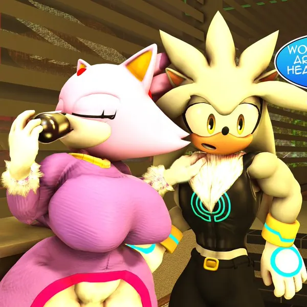blaze the cat, silver the hedgehog (sega, sonic the hedgehog (series)) created by rocketspuff