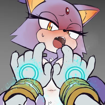 blaze the cat, silver the hedgehog (sega, sonic the hedgehog (series)) created by starampharos