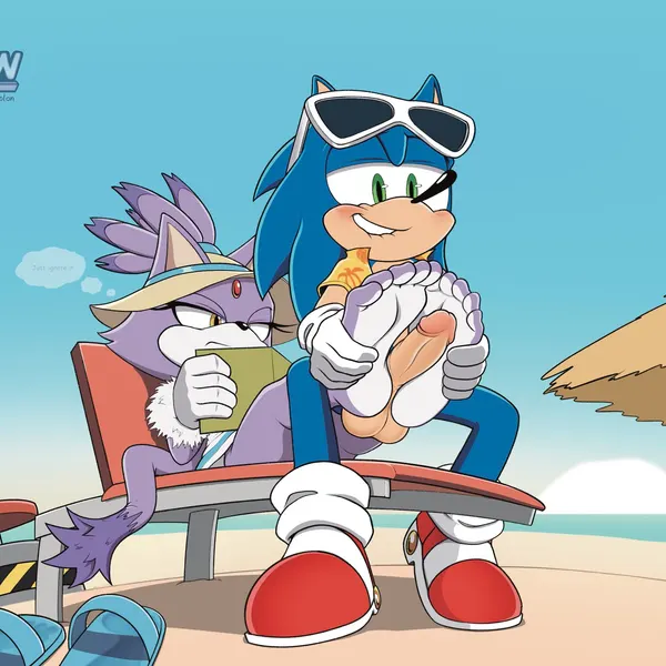 blaze the cat, sonic the hedgehog (sega, sonic the hedgehog (series)) created by arts eidolon