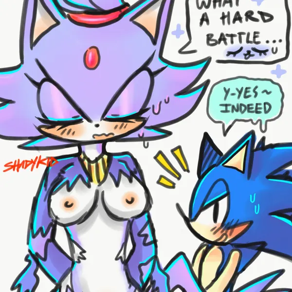 blaze the cat, sonic the hedgehog (sega, sonic the hedgehog (series)) created by methkit
