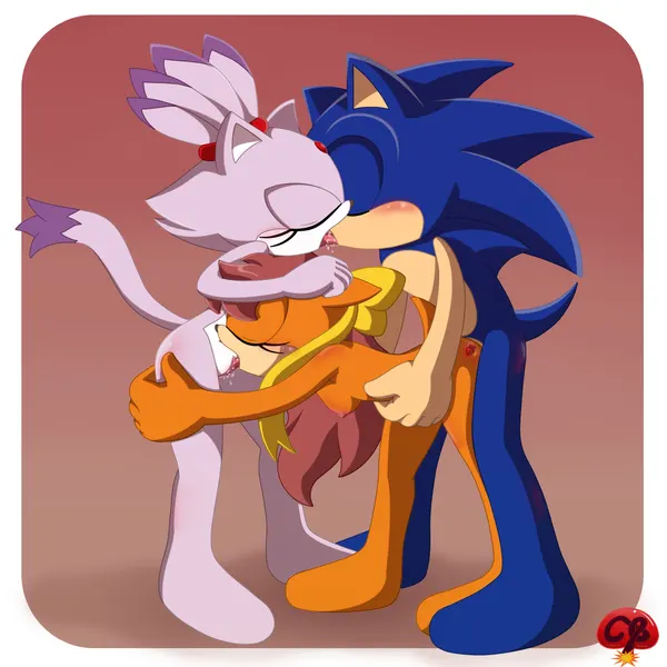 blaze the cat, sonic the hedgehog, tiara boobowski (sega, sonic the hedgehog (series)) created by ladycherrybomba