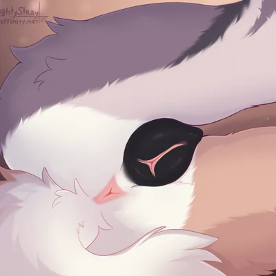 created by naughtystray