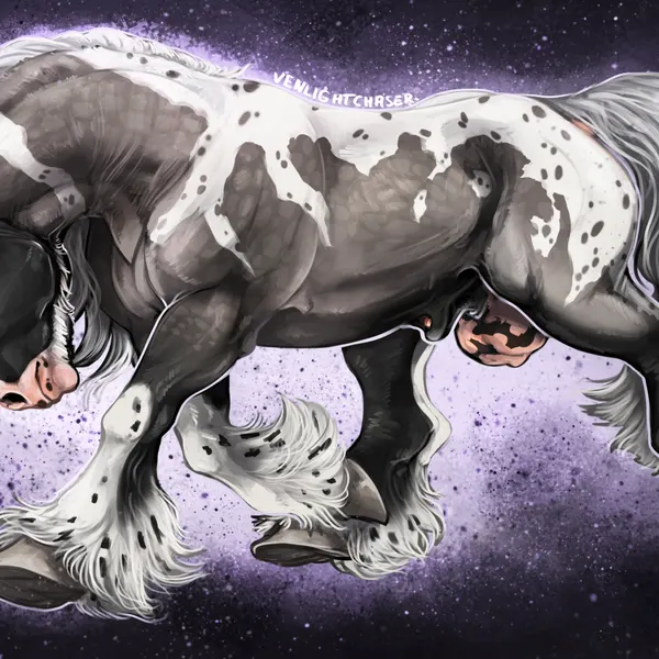 created by venlightchaser