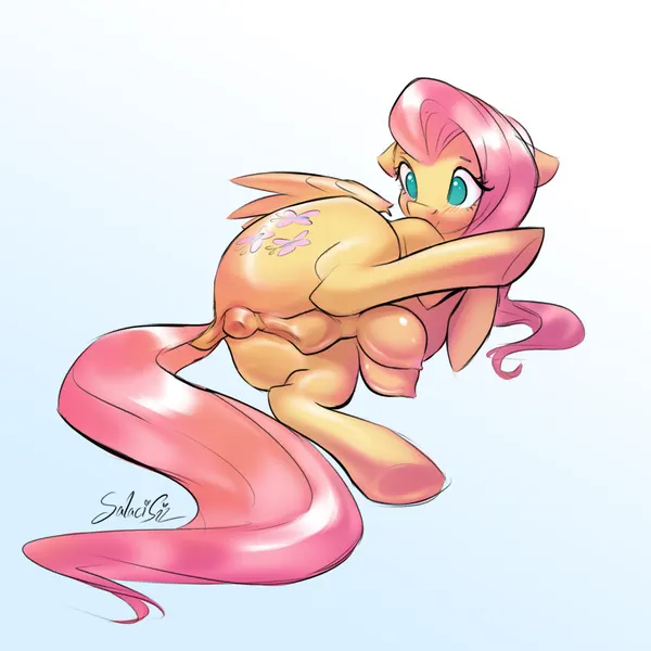 fluttershy (mlp) (friendship is magic, hasbro) created by salacisil