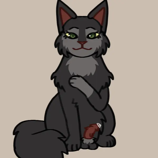 hollyleaf (warriors) (warriors (book series)) created by jinglecide