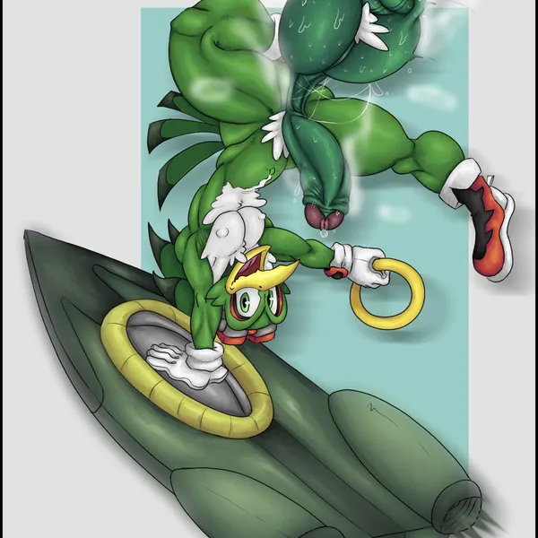 jet the hawk (sega, sonic riders) created by wilelter