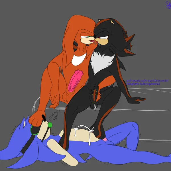 knuckles the echidna, shadow the hedgehog, sonic the hedgehog (sega, sonic the hedgehog (series)) created by fledgedragonfox