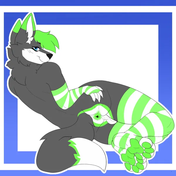 kory the fox