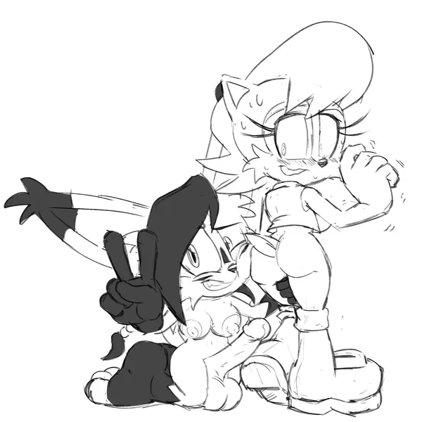 nicole the lynx, sally acorn (archie comics, sega) created by guillion