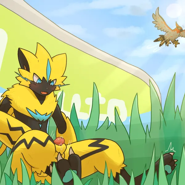 nintendo, pokemon created by luto tori