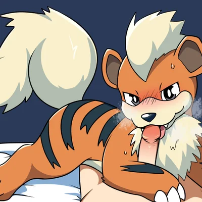 nintendo, pokemon created by yttriumi2f