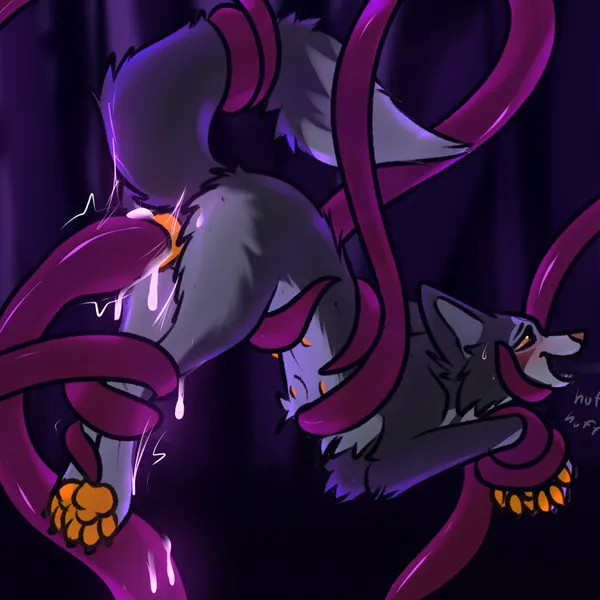 noir (heliofox) created by heliofox