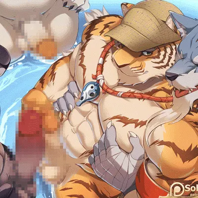 patreon created by sollyz