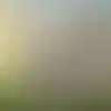 Sky Forme Shaymin Nude Masturbation Pussy Fingering Sunrise Field
