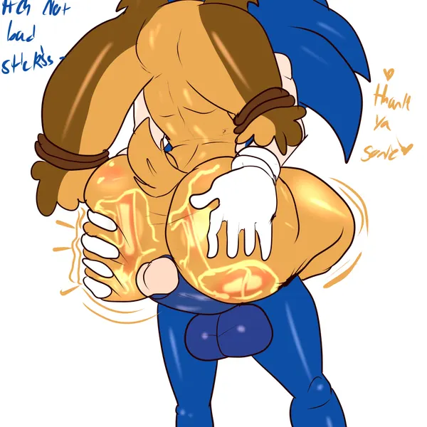 sonic the hedgehog, sticks the jungle badger (sega, sonic boom) created by susknuckles