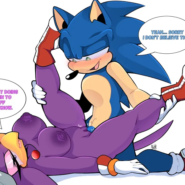 sonic the hedgehog, wave the swallow (sega, sonic riders) created by ramshadow