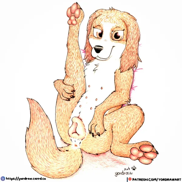 wanda (the queen's corgi) (patreon, the queen's corgi) created by yordraw