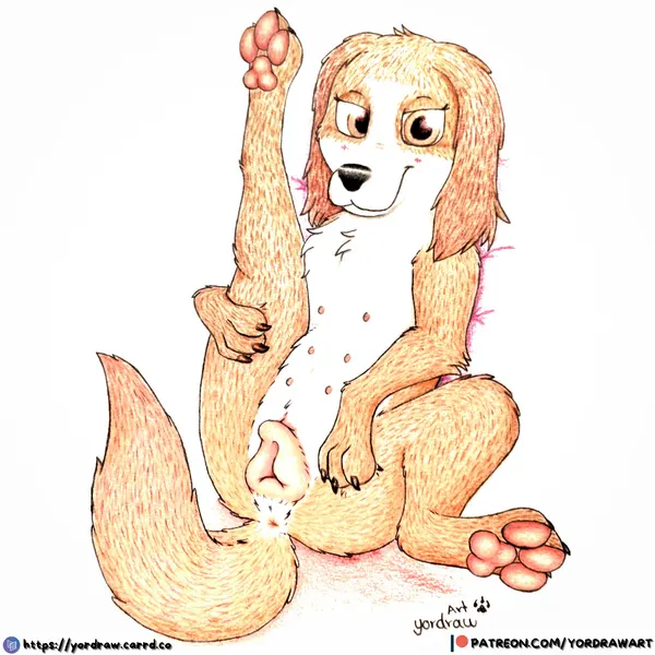 wanda (the queen's corgi) (patreon, the queen's corgi) created by yordraw