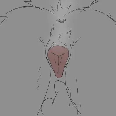 ambiguous gender, ambiguous on feral, animal genitalia, animal vulva