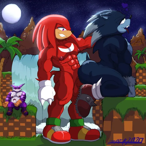 big the cat, knuckles the echidna, sonic the hedgehog (sega, sonic the hedgehog (series)) created by zackdadawg