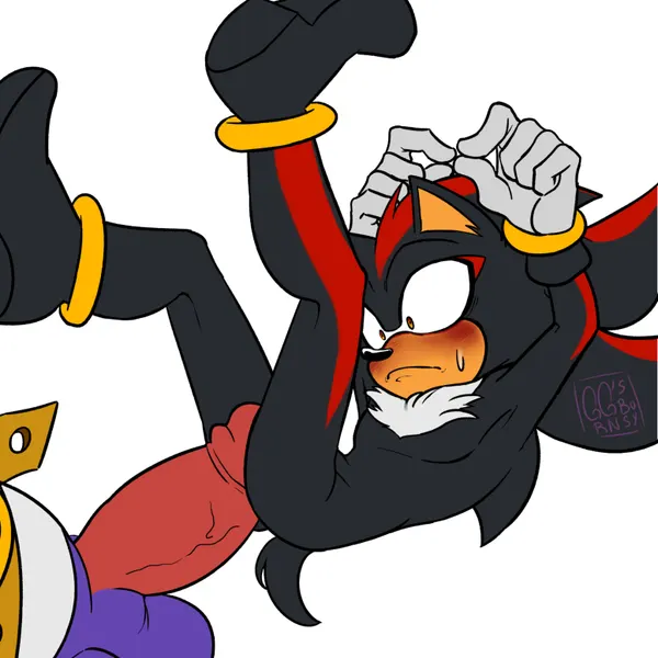 big the cat, shadow the hedgehog (sega, sonic the hedgehog (series)) created by ggs busyrn