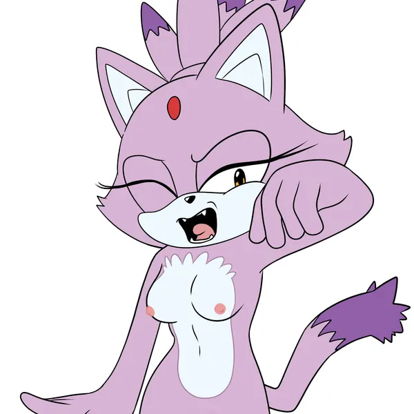 blaze the cat (sega, sonic the hedgehog (series)) created by cintra (artist)