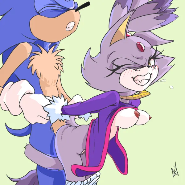 blaze the cat, sonic the hedgehog (sega, sonic the hedgehog (series)) created by nahadon