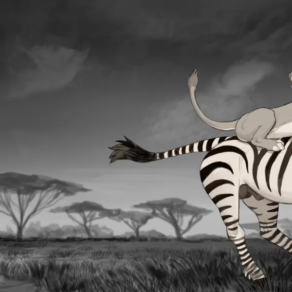 created by kodardragon