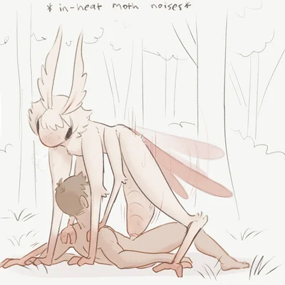 created by tateoftot