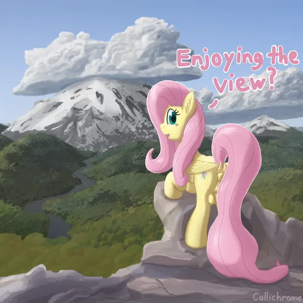 fluttershy (mlp) (friendship is magic, hasbro) created by callichrome