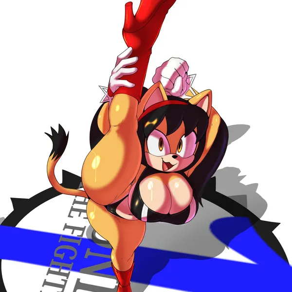 honey the cat (sega, sonic the fighters) created by 1lastshadow1