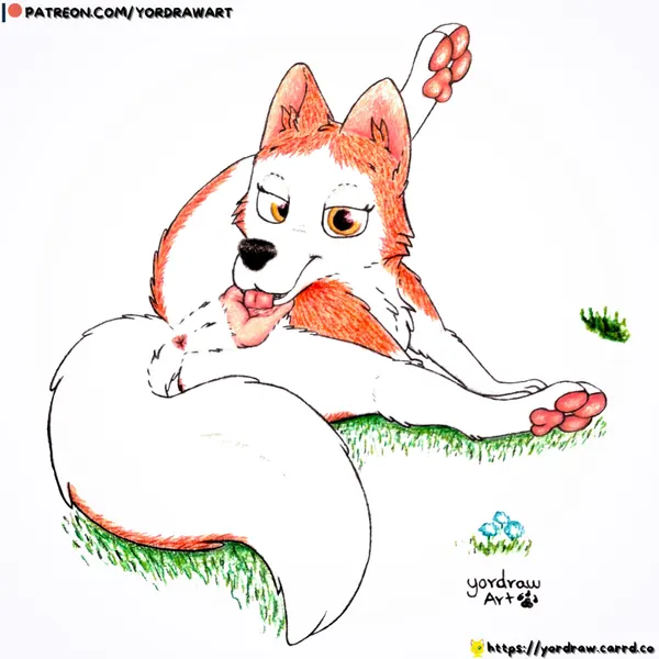jenna (balto) (balto (series), patreon) created by yordraw
