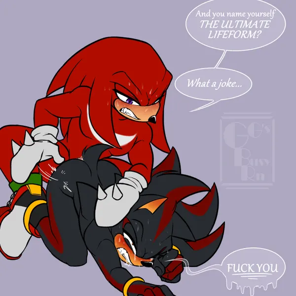 knuckles the echidna, shadow the hedgehog (sega, sonic the hedgehog (series)) created by ggs busyrn